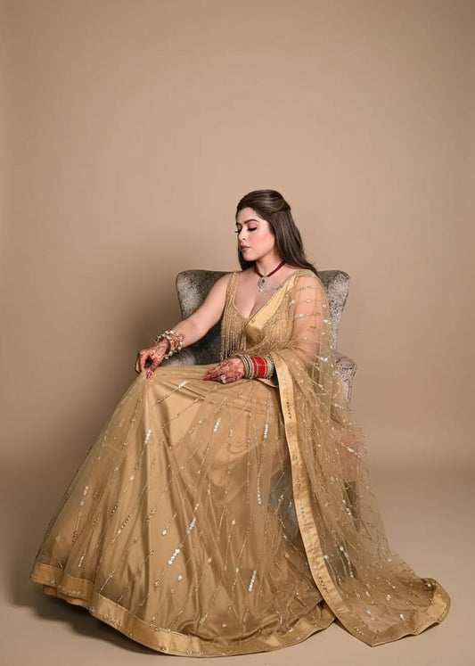 Golden Hand Embroidered Saree